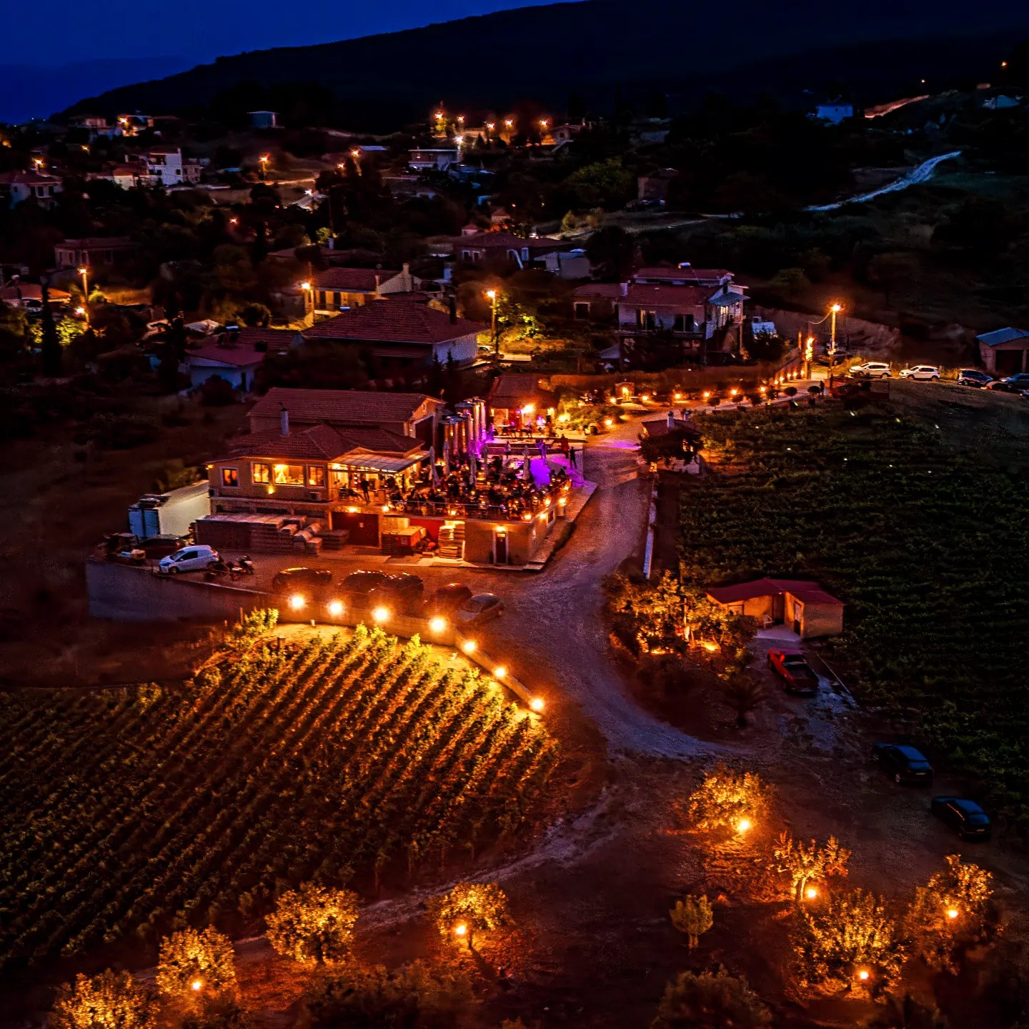 Brand About Section Image